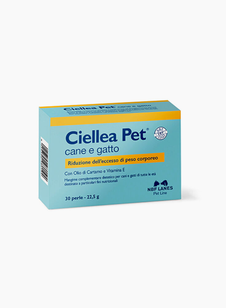 Ciellea Pet Recovery