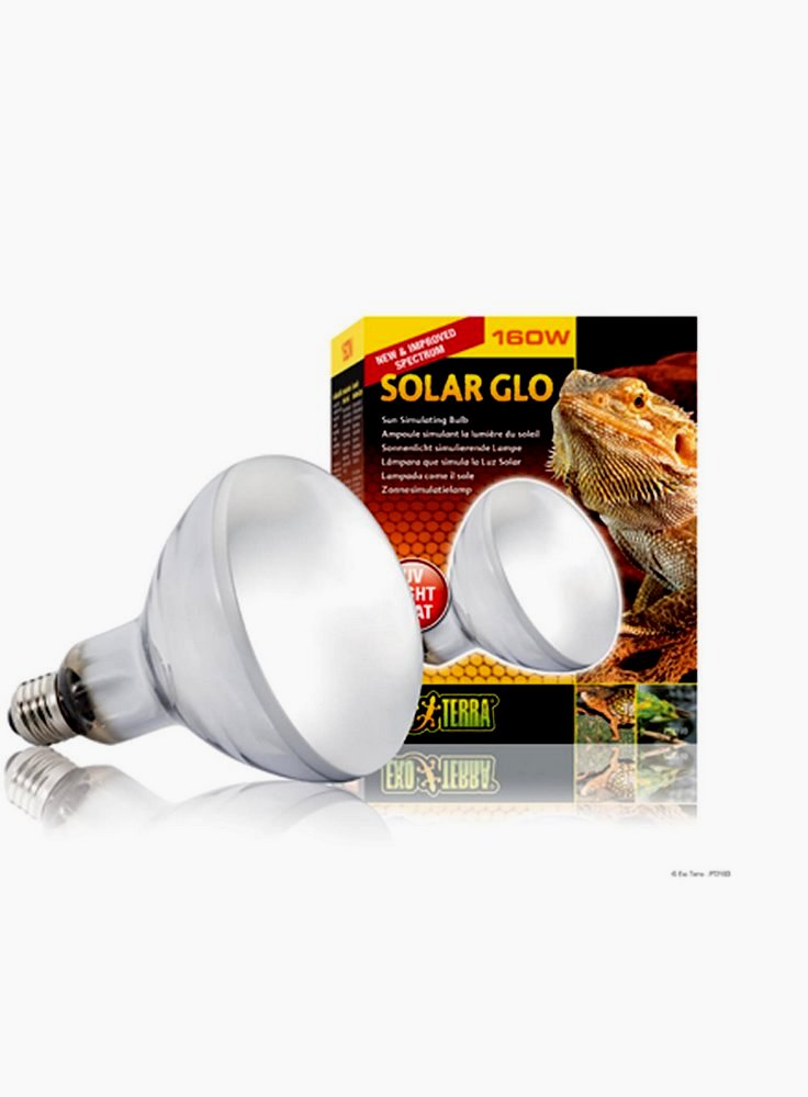 Exoterra Lampada Sun Glo Intense Basking Spot S25/100W