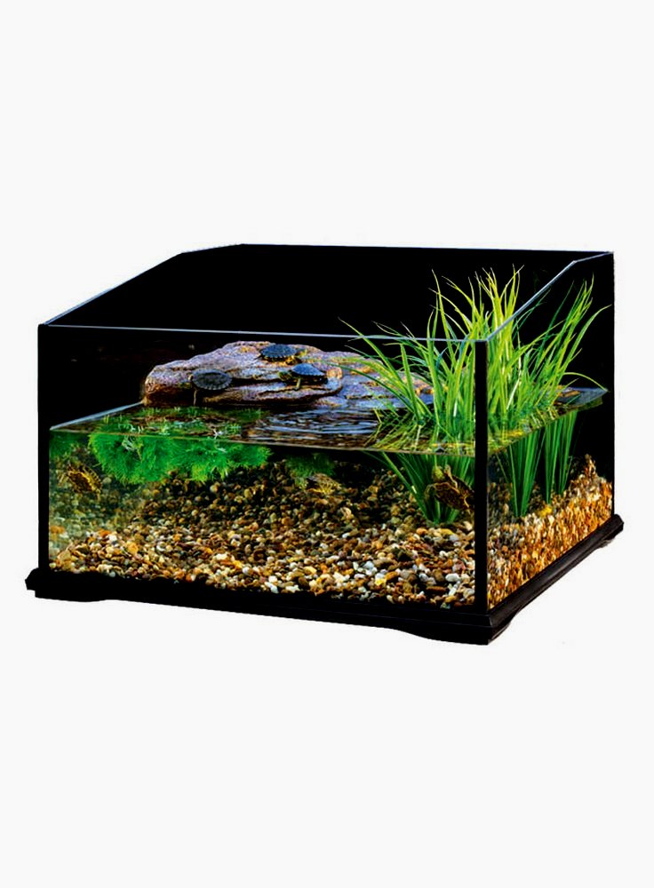 Tartarughiera exoterra turtle terrarium