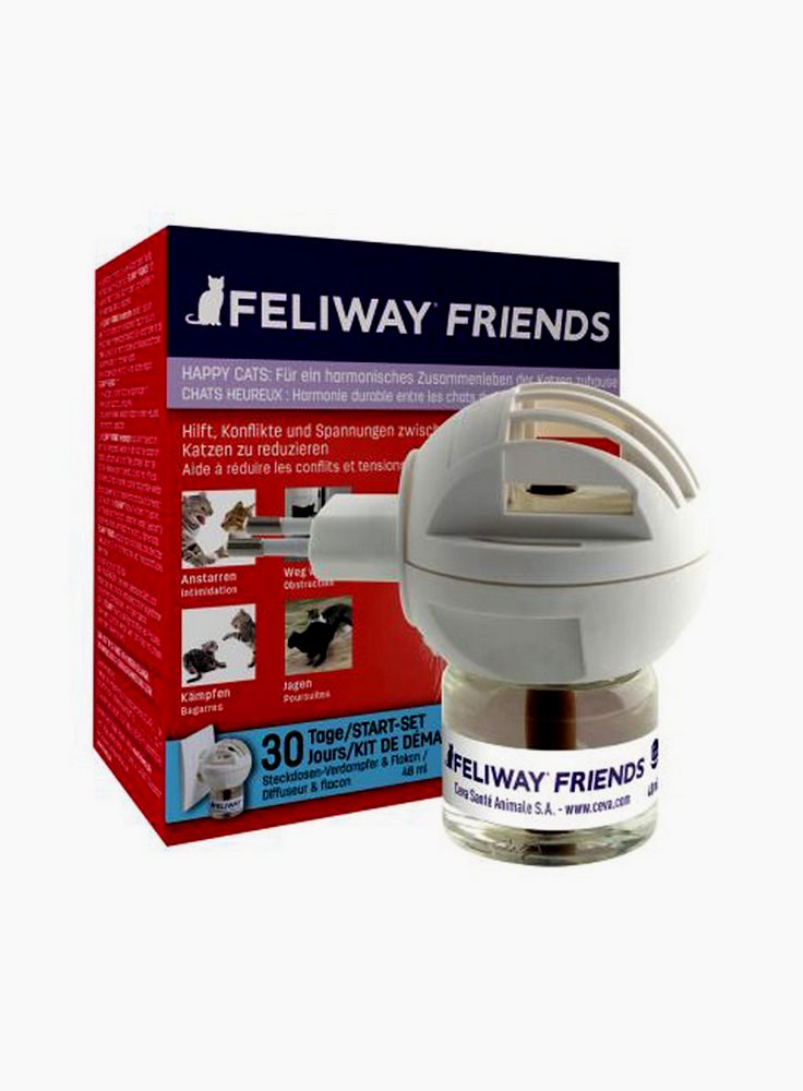 Feliway friends gatto