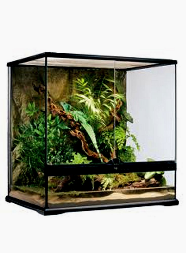 Glass terrarium exoterra 60x45x60h