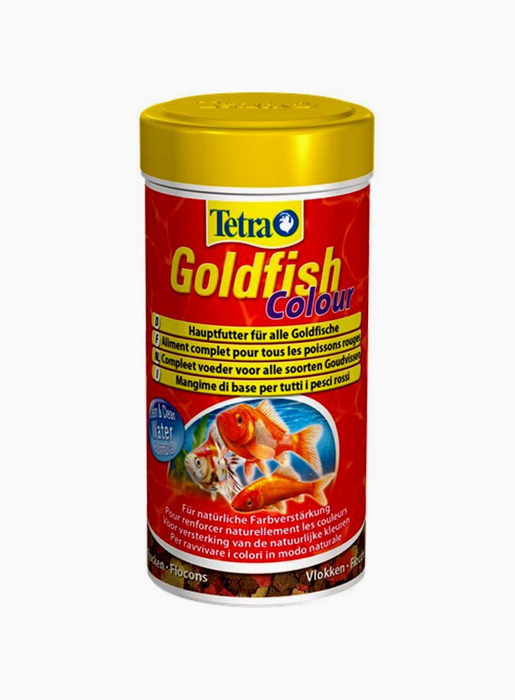 Tetra goldfish colour mangime pesci rossi colorazione