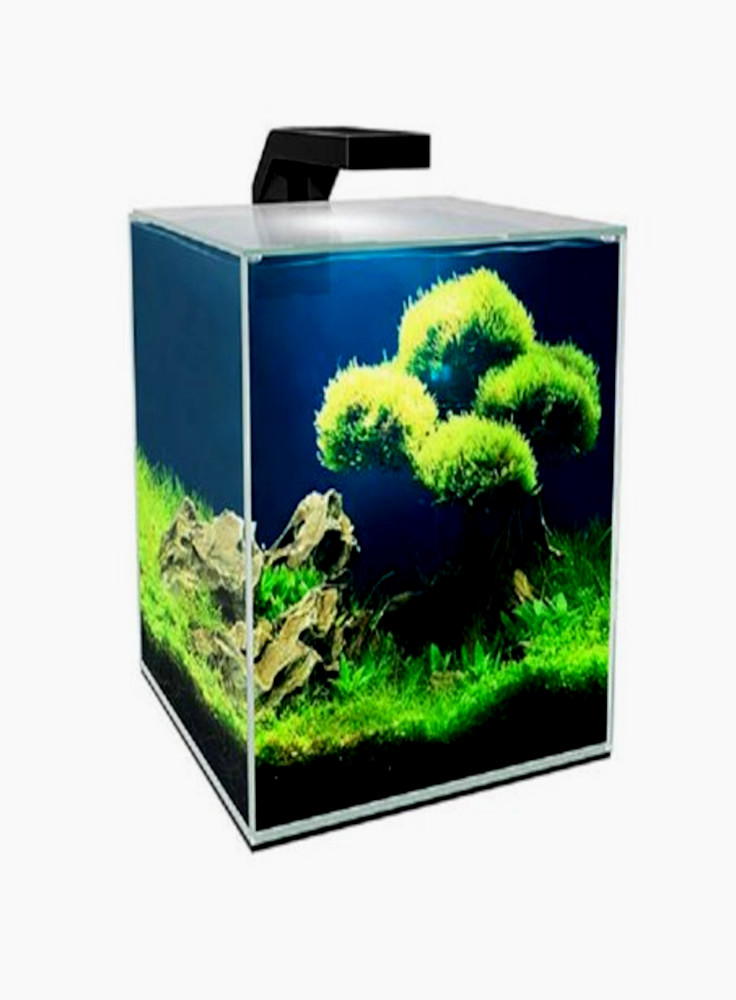 ACQUARIO ASKOLL CUBE