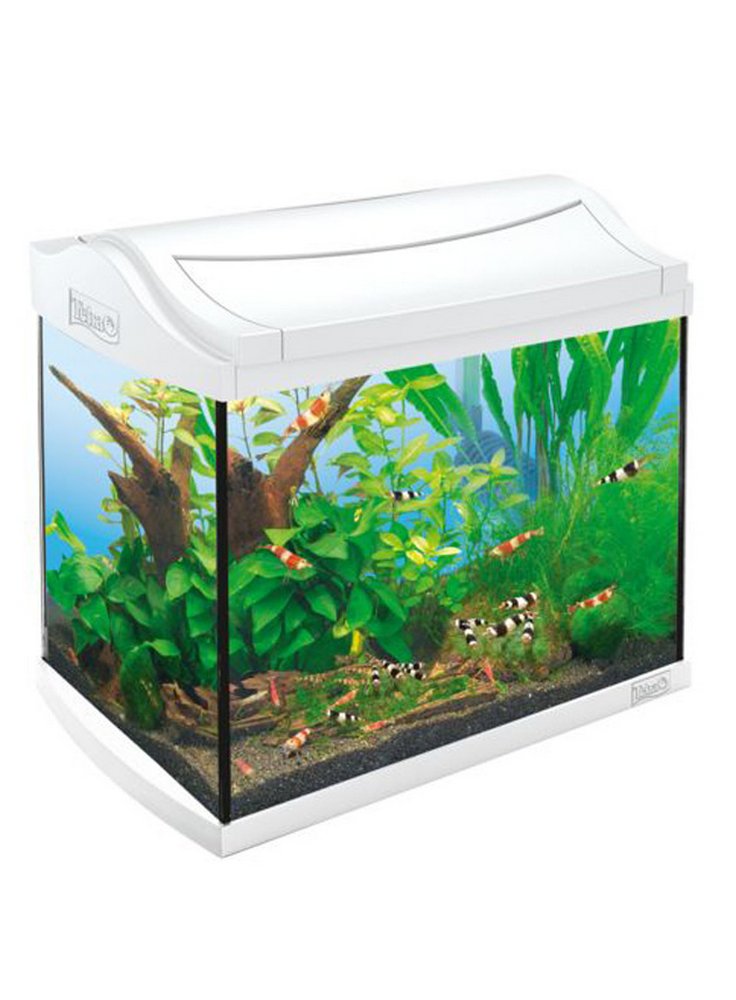 Tetra acquario Aqua art Bianco 60 Litri