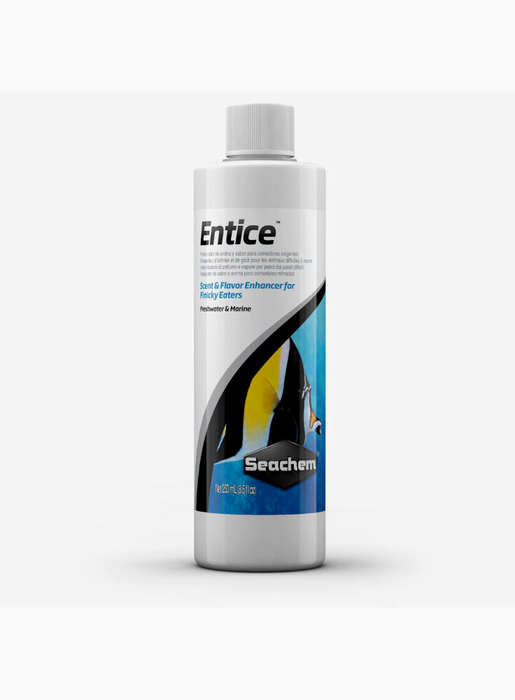 Entice 500 mL