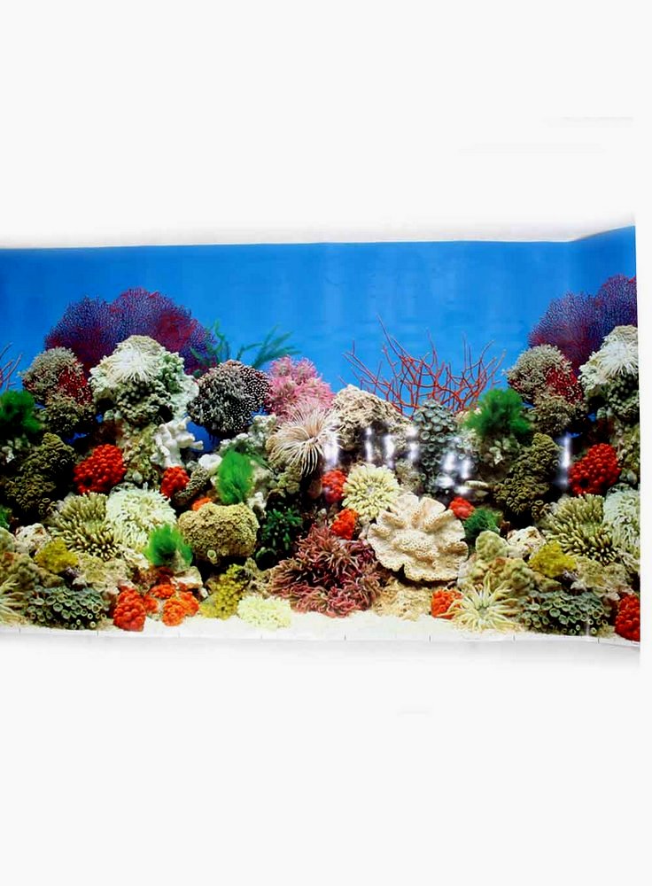 Sfondo per acquario Coralli SAD2 140x49h cm