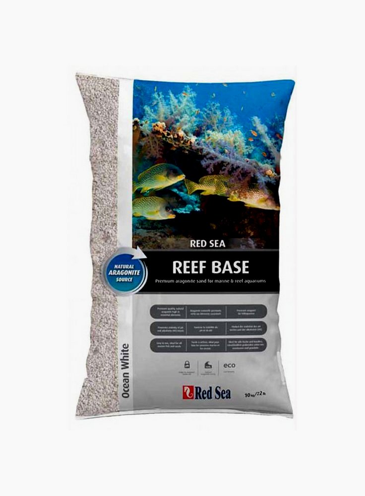 22161940_reef-base-white