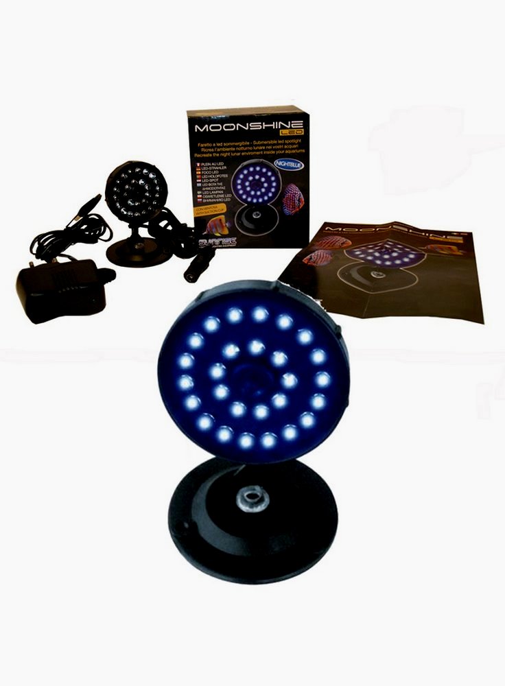 Haquoss Moonshine led faretto sommergibile luce blu