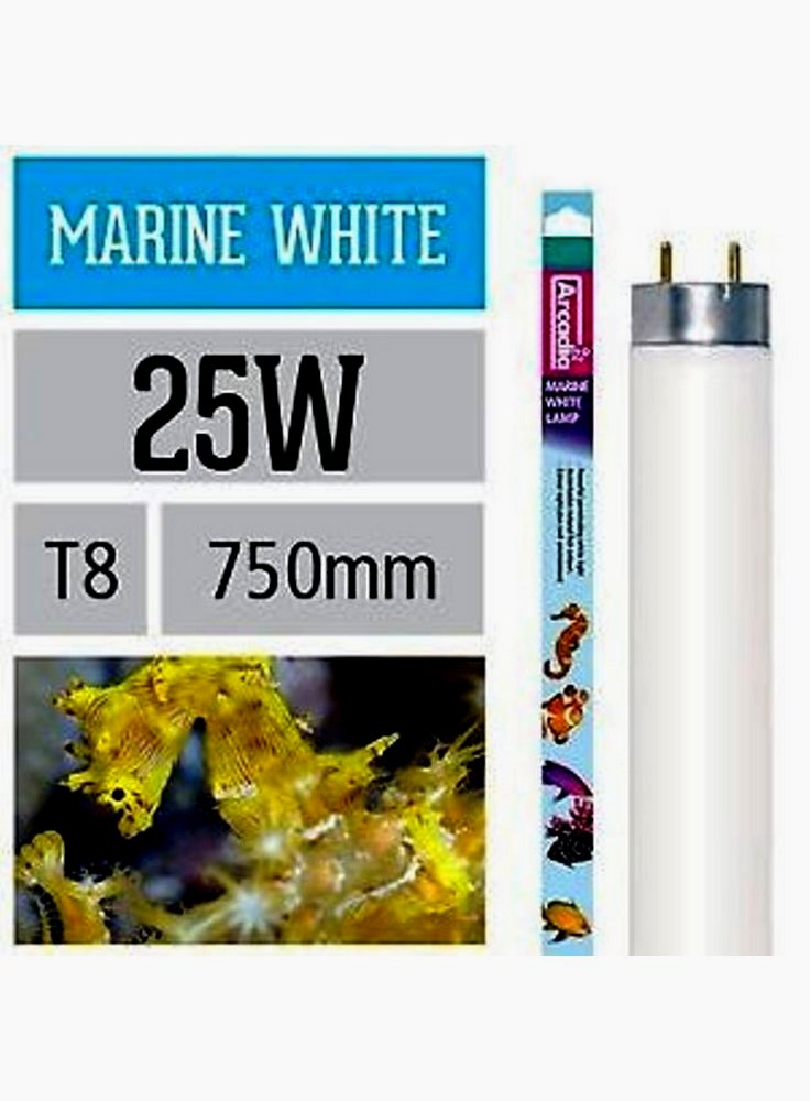 25w_marine