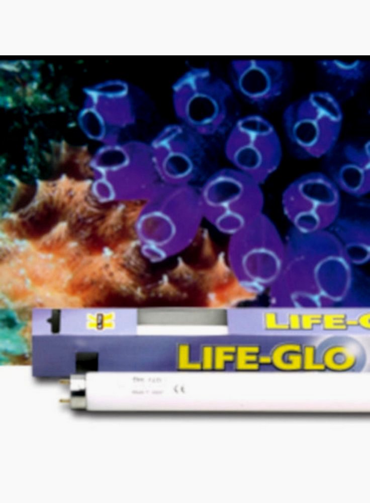 Askoll lampada life glo 30 W