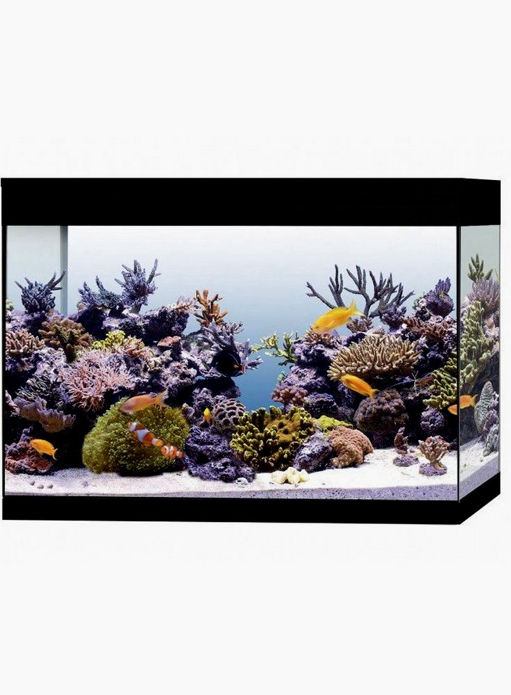 26181853_acquario-askoll-pure-xl-marine