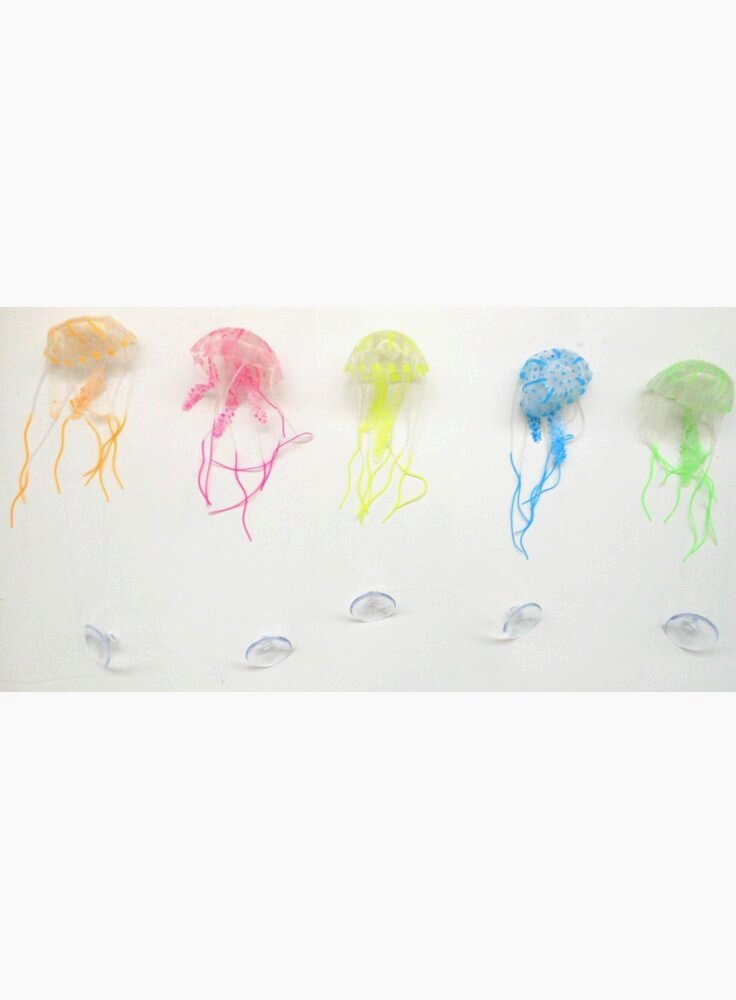 HAQUOSS JELLY FISH 5x12h cm - COLORI ASSORTITI