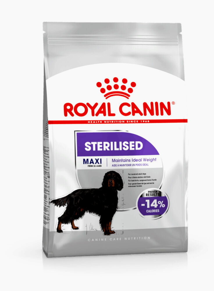 Maxi sterilised cane Royal canin