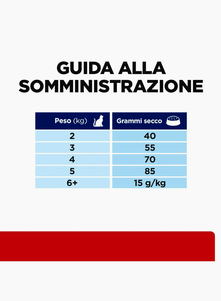 605984_Feeding%20Guide