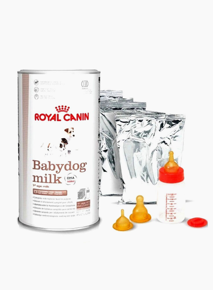 Babydog Milk Royal Canin