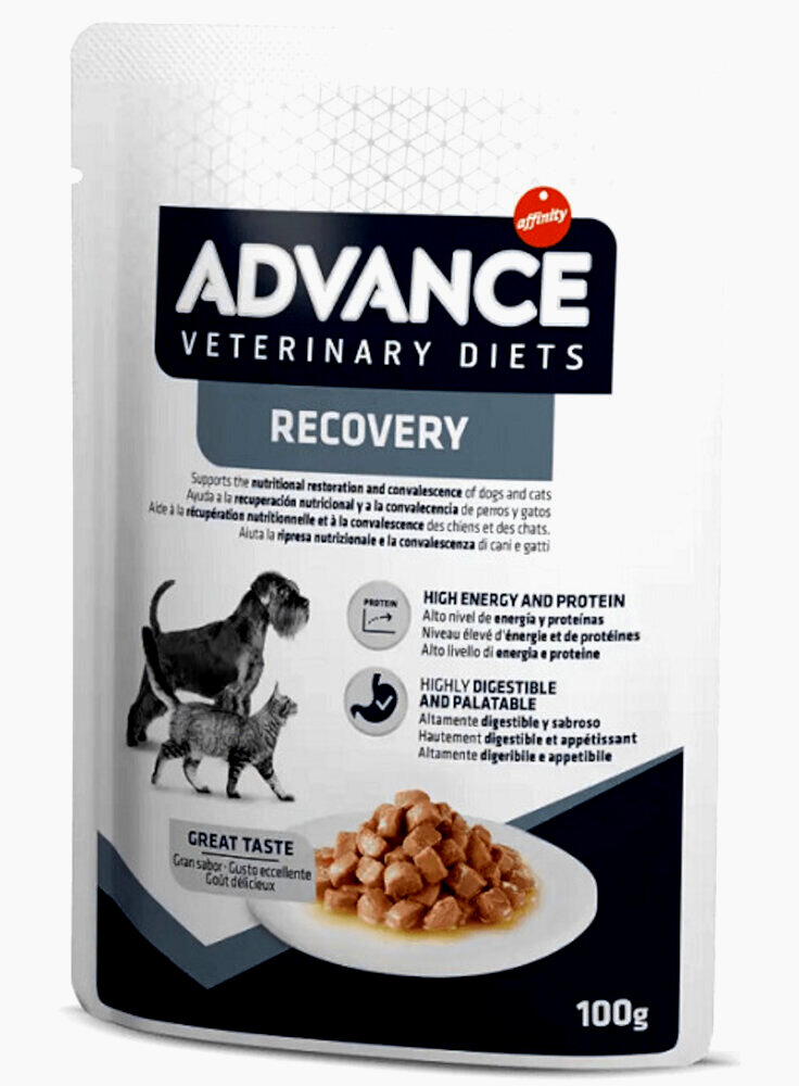 ADVANCE VETERINARY DOG&CAT RECOVERY 100gr