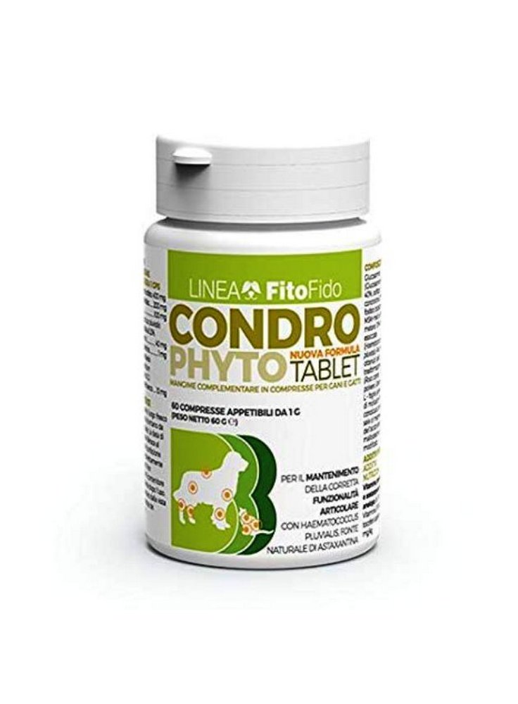 Condrophyto 300gr 