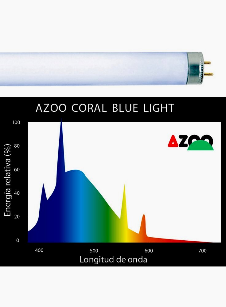 Azoo neon T8 Coral Blue light luce per coralli ed invertebrati