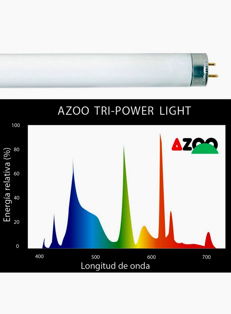 Azoo_Tri_power_Light