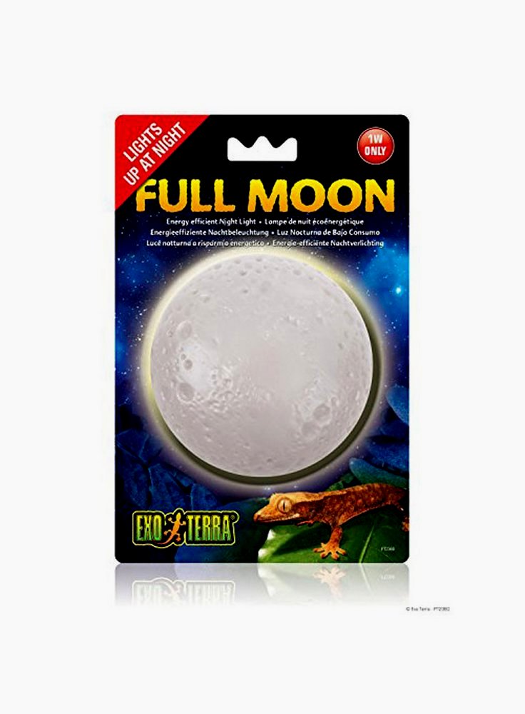 Exo Terra Full moon luce nutturna