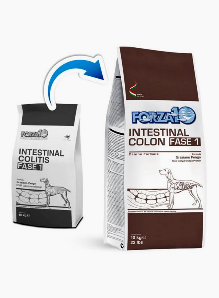 Forza 10 Intestinal Colon (intestinal colitis) Fase 1 per cani