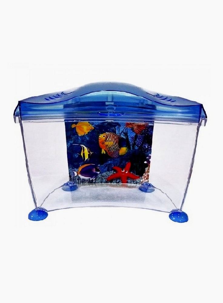 Acquario marina goldfish blu e rosa