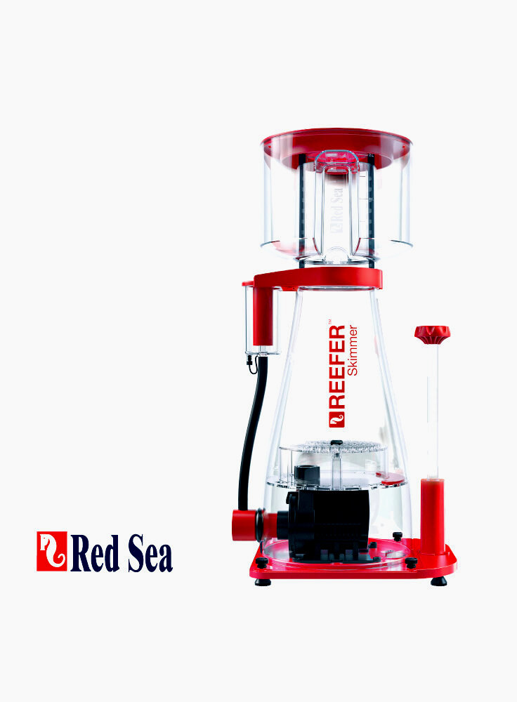 Red%20Sea%20_ReeferSkimmer