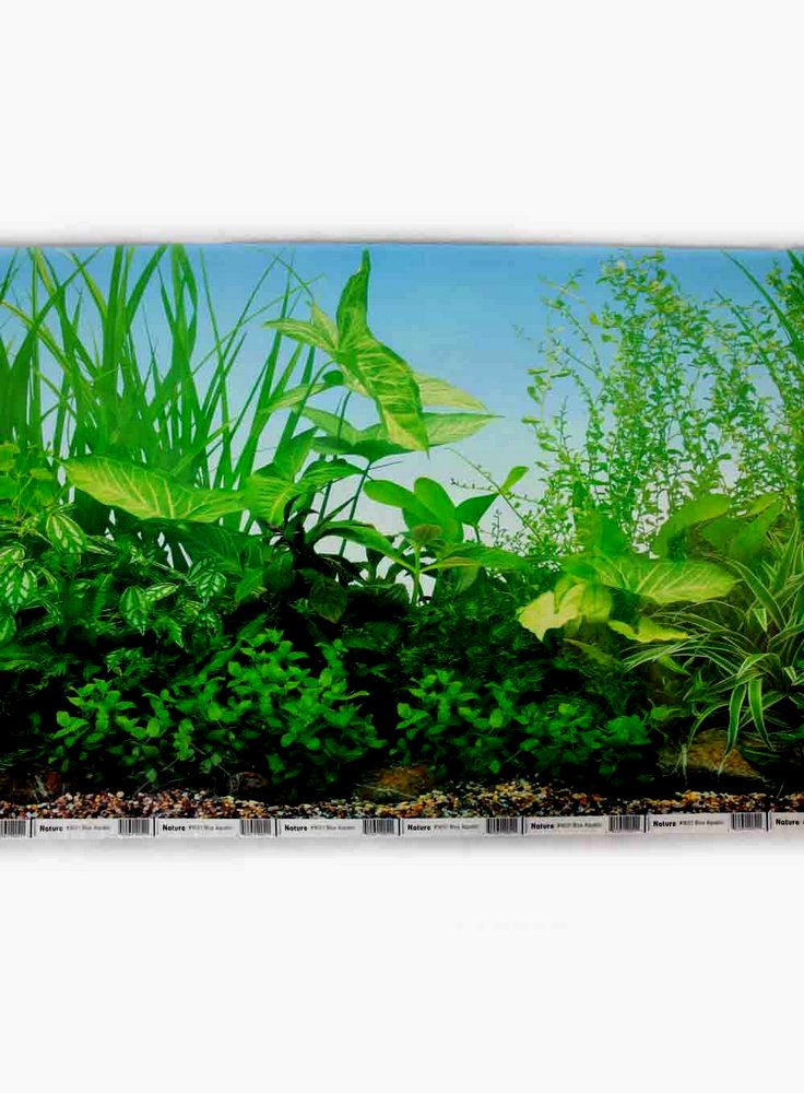 Sfondo per acquario Blue Aquatic SF8 140x49 cm