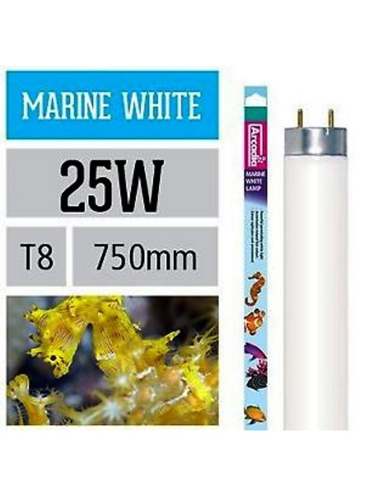 Arcadia Neon Marine White T8 luce per acquario marino