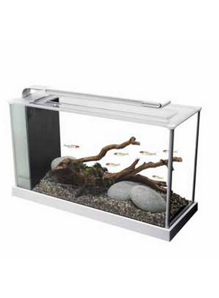 Acquario Fluval spec 19lt led