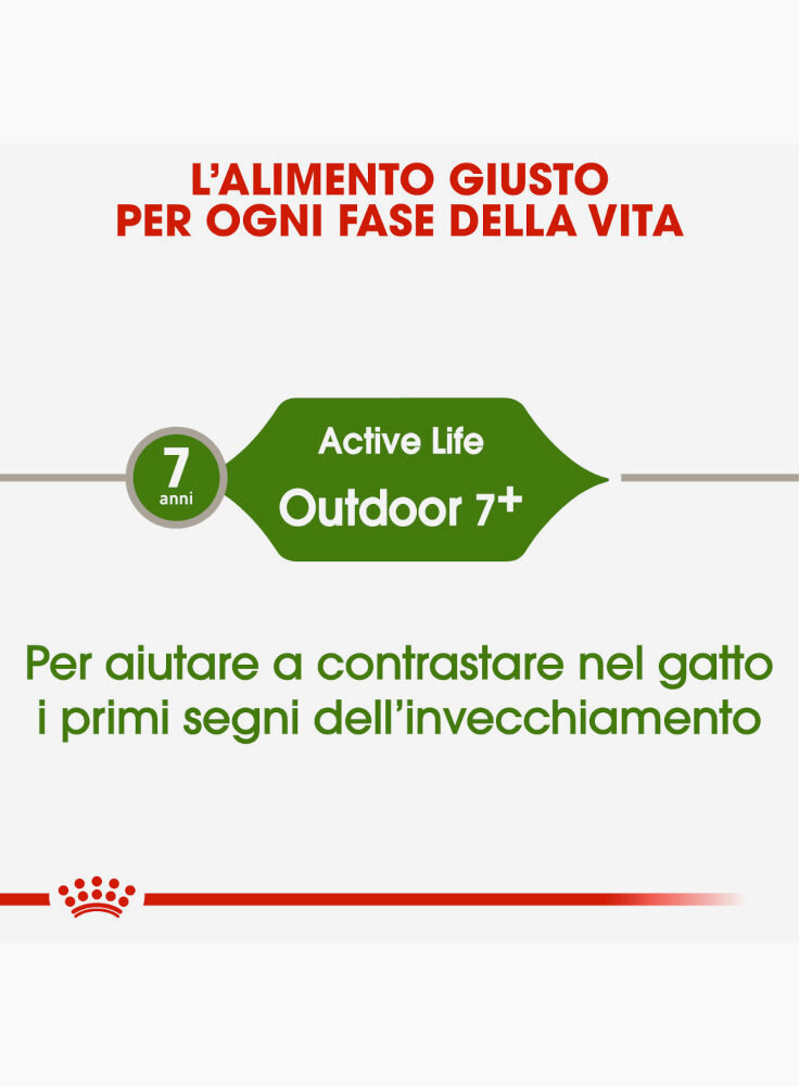 active-life-outdoor-7-gatto-royal-canin-1