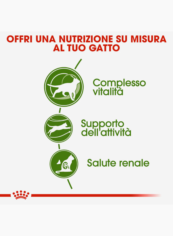 active-life-outdoor-7-gatto-royal-canin-2