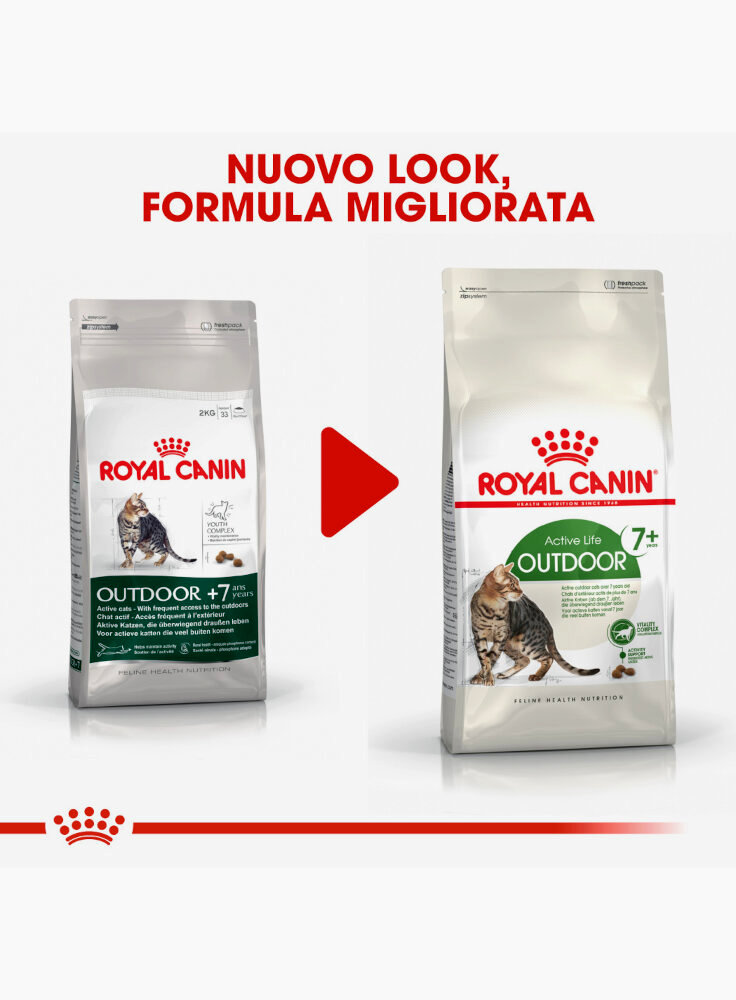 active-life-outdoor-7-gatto-royal-canin-5