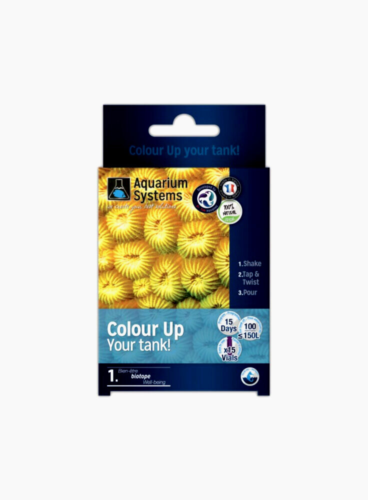 PROGRAMM COLOR UP MARINE