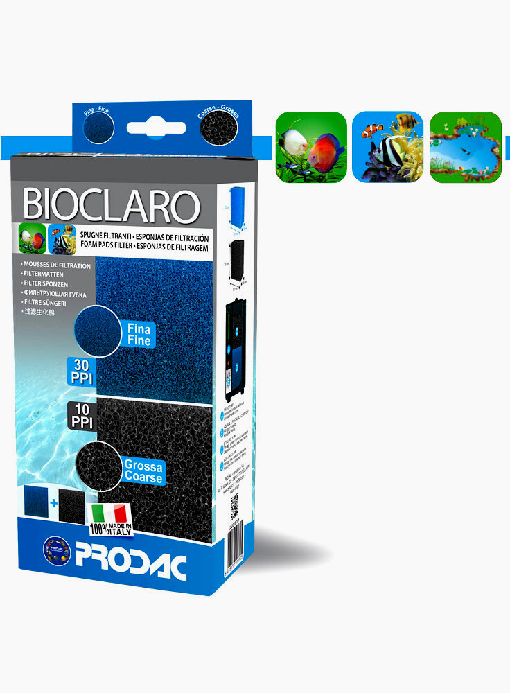 BIOCLARO L10x H10x P 6,5