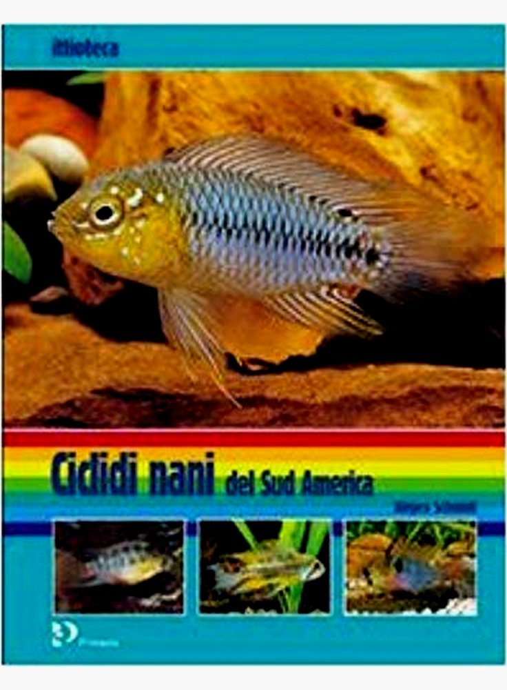 Libro ciclidi nani del sud america