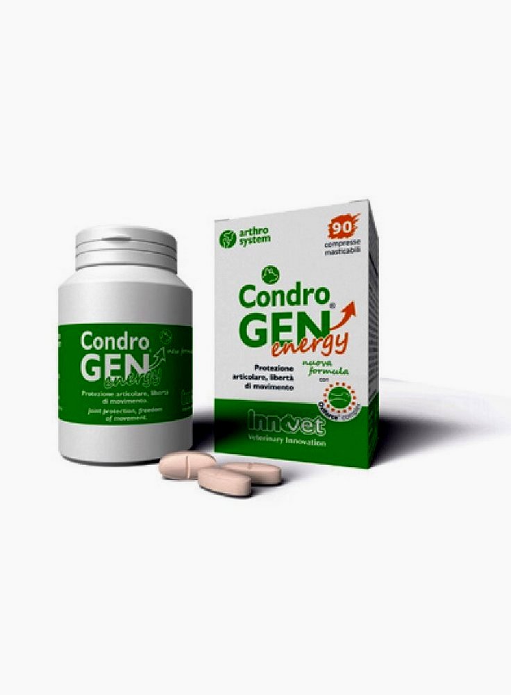 Condrogen Energy 30 compresse