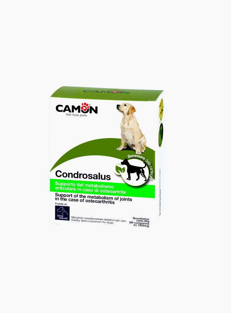 Camon Condrosalus rinforza e protegge la cartillagine 60cpr