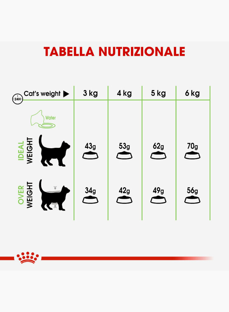 digestive-care-gatto-royal-canin-3