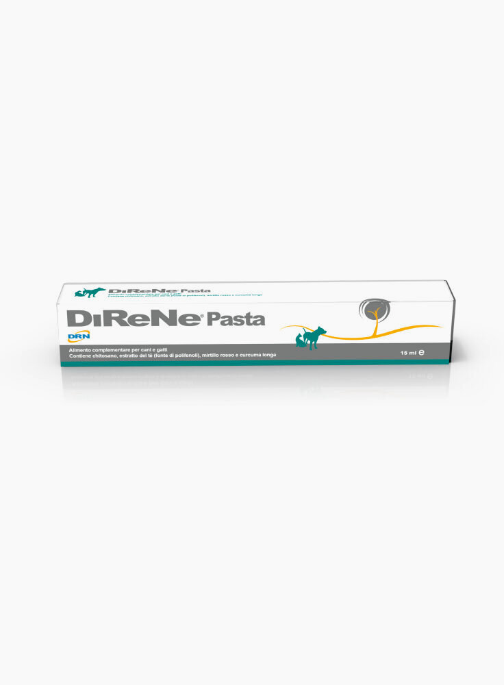 DIRENE PASTA 15ML