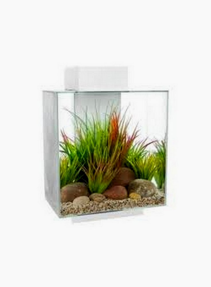 Design acquario edge maxi 46litri bianco