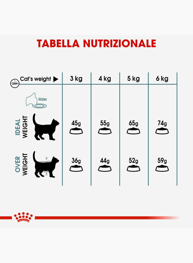 hairball-care-gatto-royal-canin-4