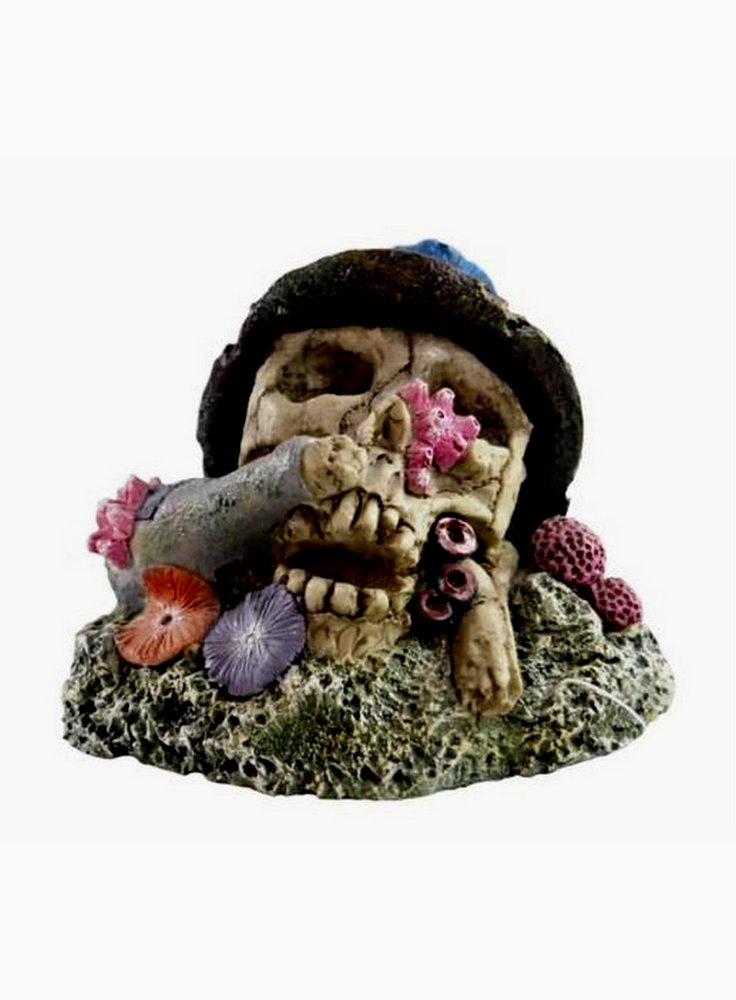 Decorazione per acquari e terrari Haquoss Koral Skull 3