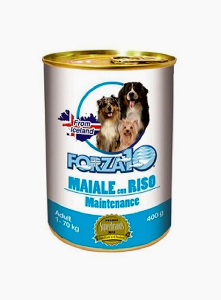 Forza 10 cane adult mantenimento 400 gr