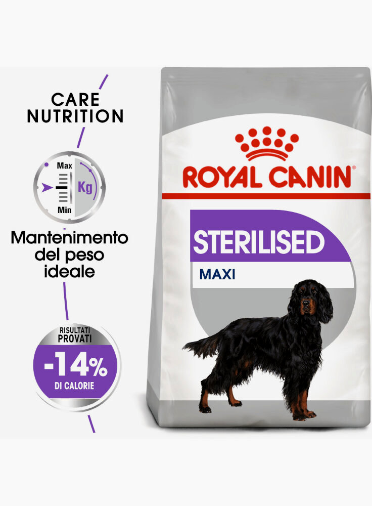 Maxi sterilised cane Royal canin