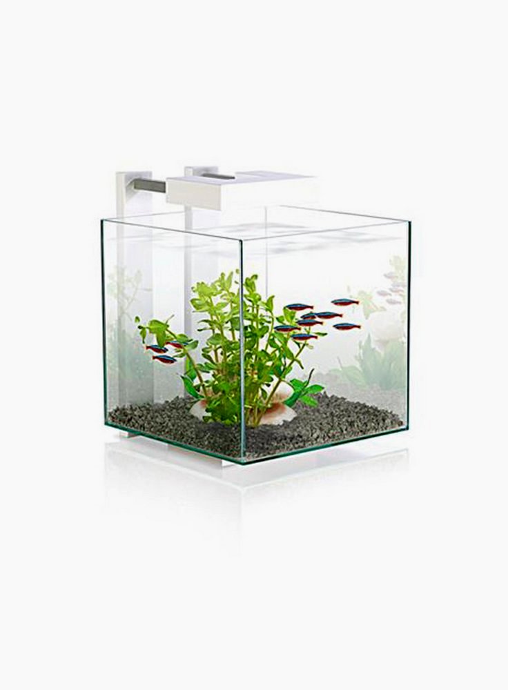 Acquario per caridine e betta nexus pure 14lt