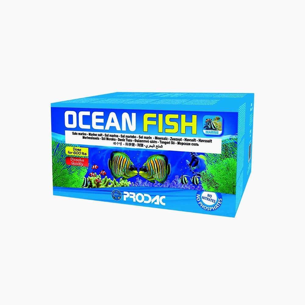 OCEANFISH 600 LT