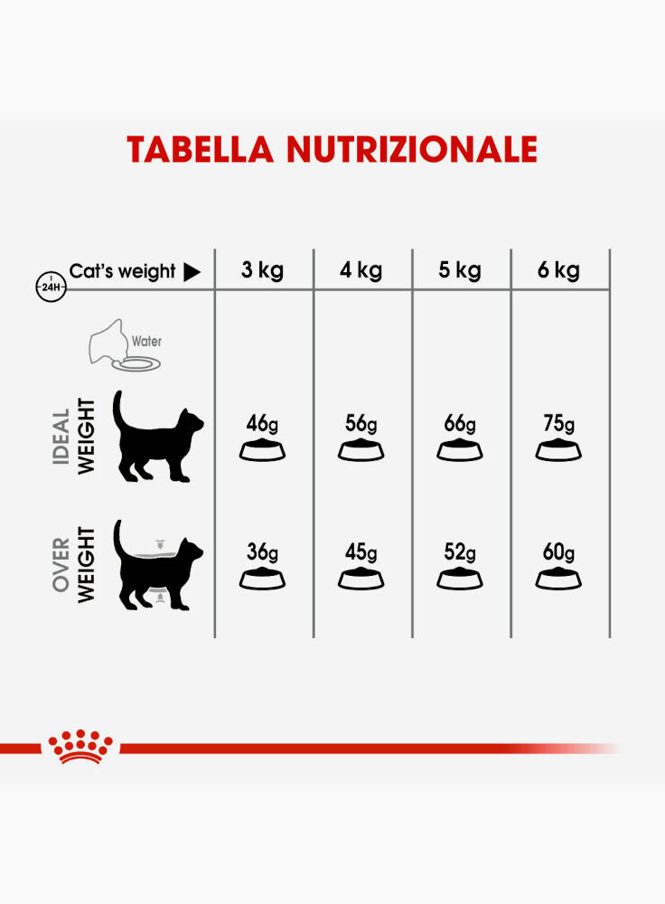 oral-care-gatto-royal-canin-4