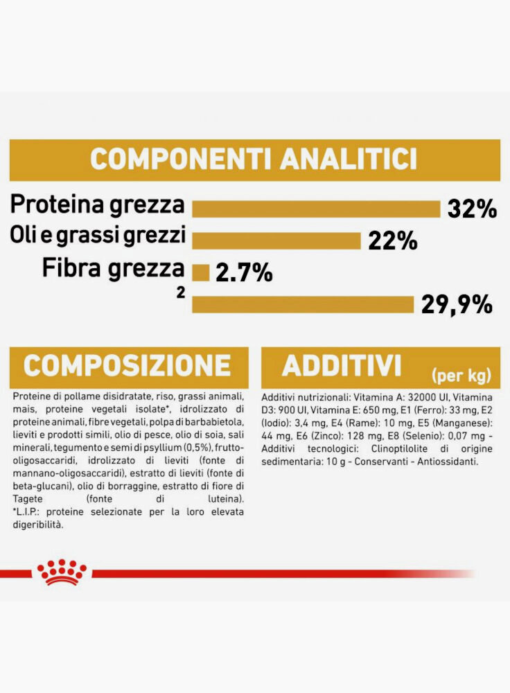 rc_fbn_kittenpersian_cv9_1_000_italy_italian__3