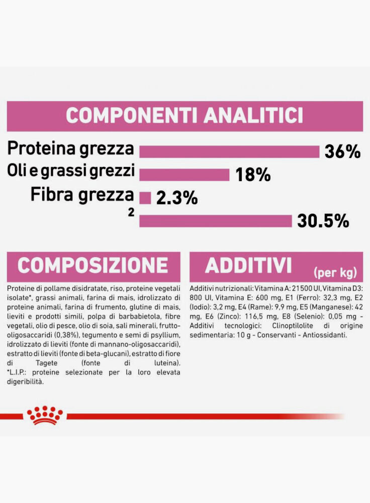 rc_fhn_kitten_cv9_1_003_italy_italian__6